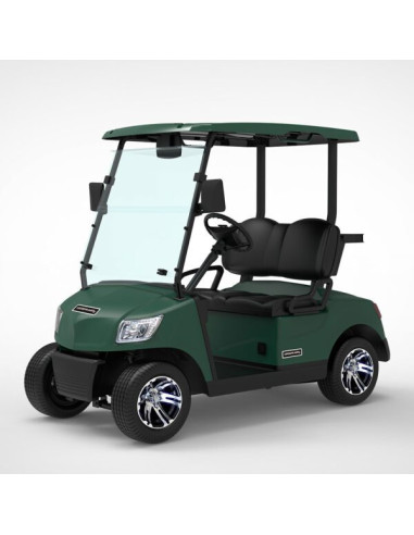 Carro eléctrico CGM20 Lucas Mobility
