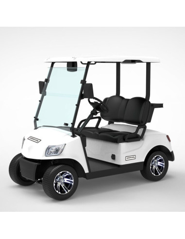 Carro eléctrico CGM20 Lucas Mobility