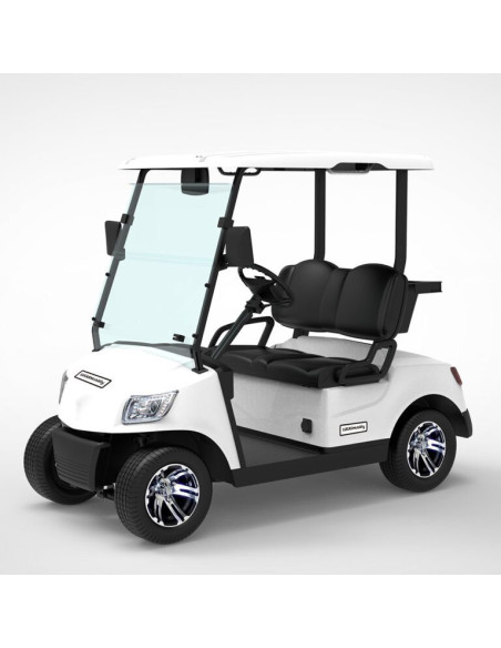 Carro eléctrico CGM20 Lucas Mobility